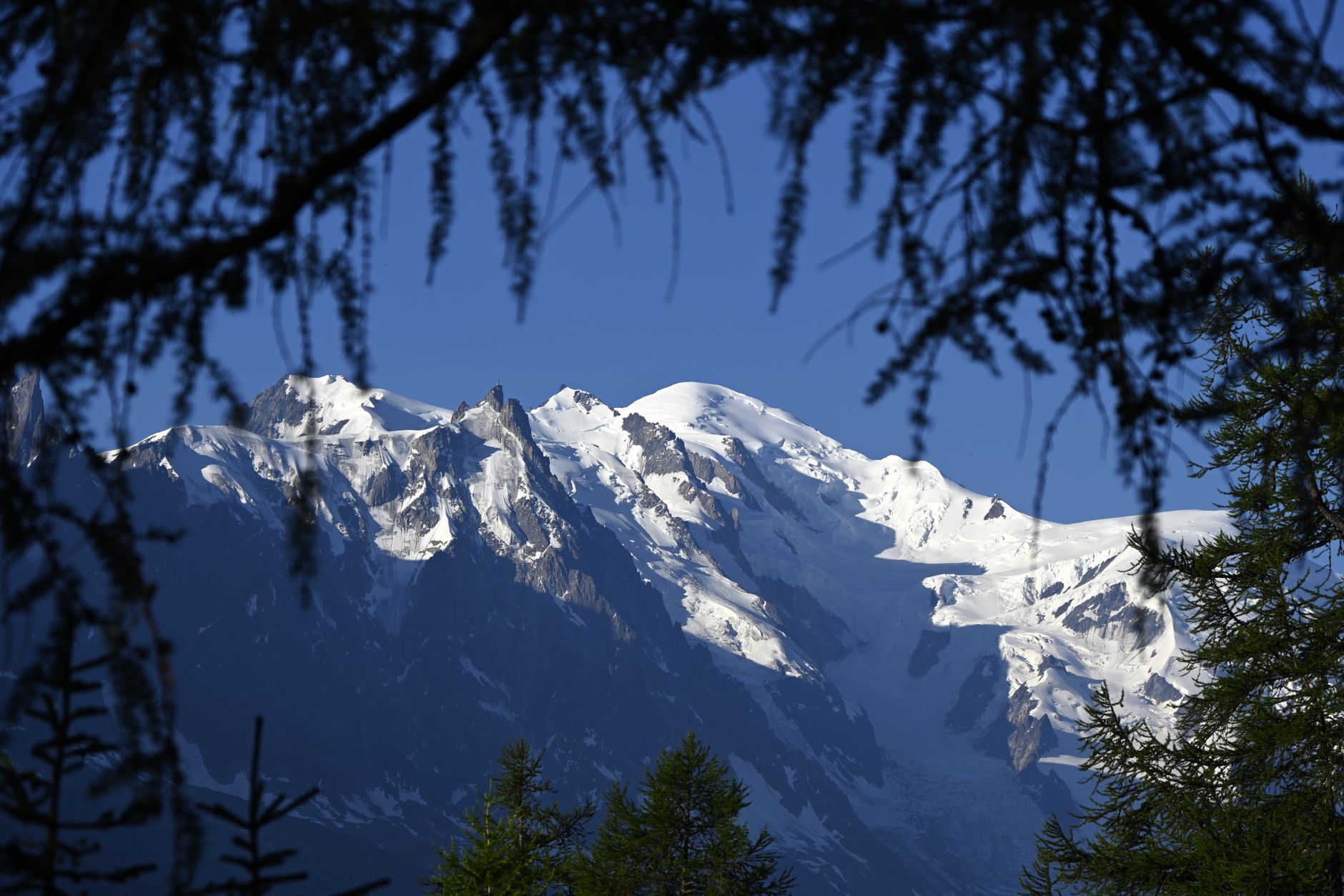 Majestic Mont Blanc mountain framed by trees in Chamonix, France, under a clear blue sky. — photograph by Planespotter Geneva on Pexels